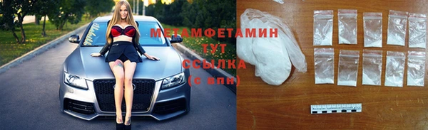 прущие грибы Беломорск