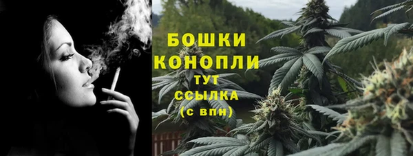 спиды Богданович