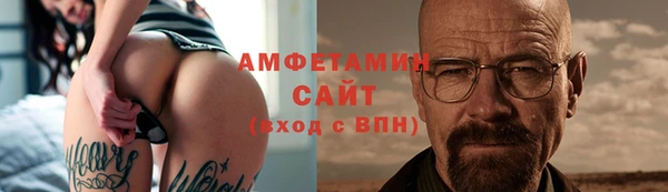 прущие грибы Беломорск