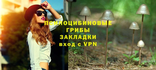 спиды Богданович